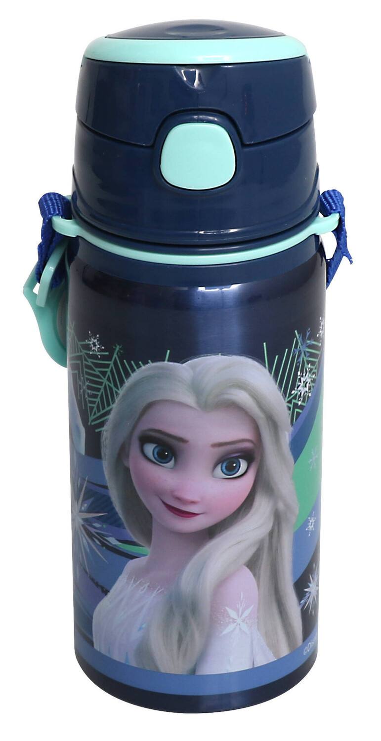 FROCX - FROZEN ÇELİK MATARA SALTO 500ML WILD SPIRITED