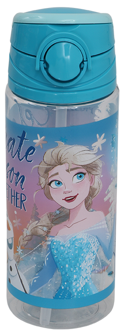 FROZEN PLASTİK MATARA CELEBRATE 500ML